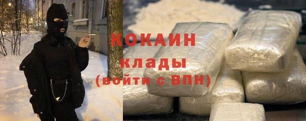 PSILOCYBIN Бородино