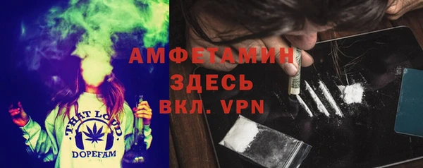 СК Бронницы