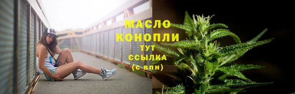 PSILOCYBIN Бородино