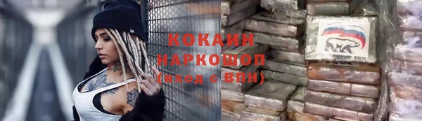 PSILOCYBIN Бородино