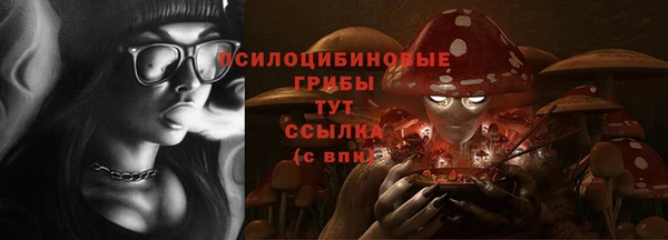 СК Бронницы