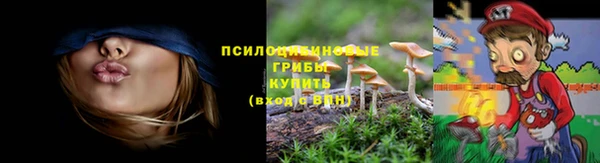 spice Бугульма