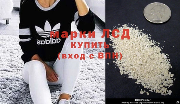 PSILOCYBIN Бородино