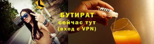 PSILOCYBIN Бородино