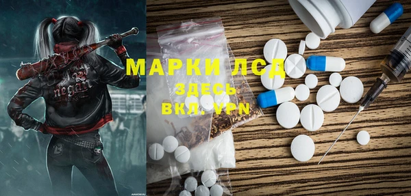 PSILOCYBIN Бородино