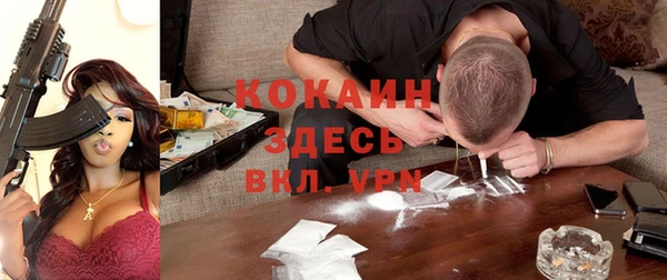 PSILOCYBIN Бородино