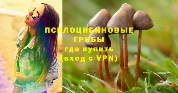 spice Бугульма